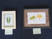 作品展